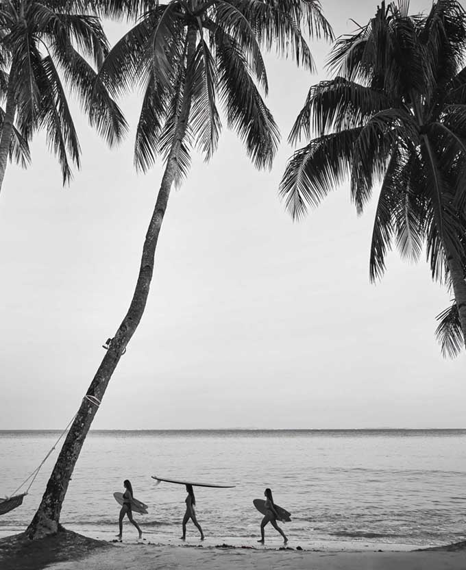 Trade Winds VII (Canvas)