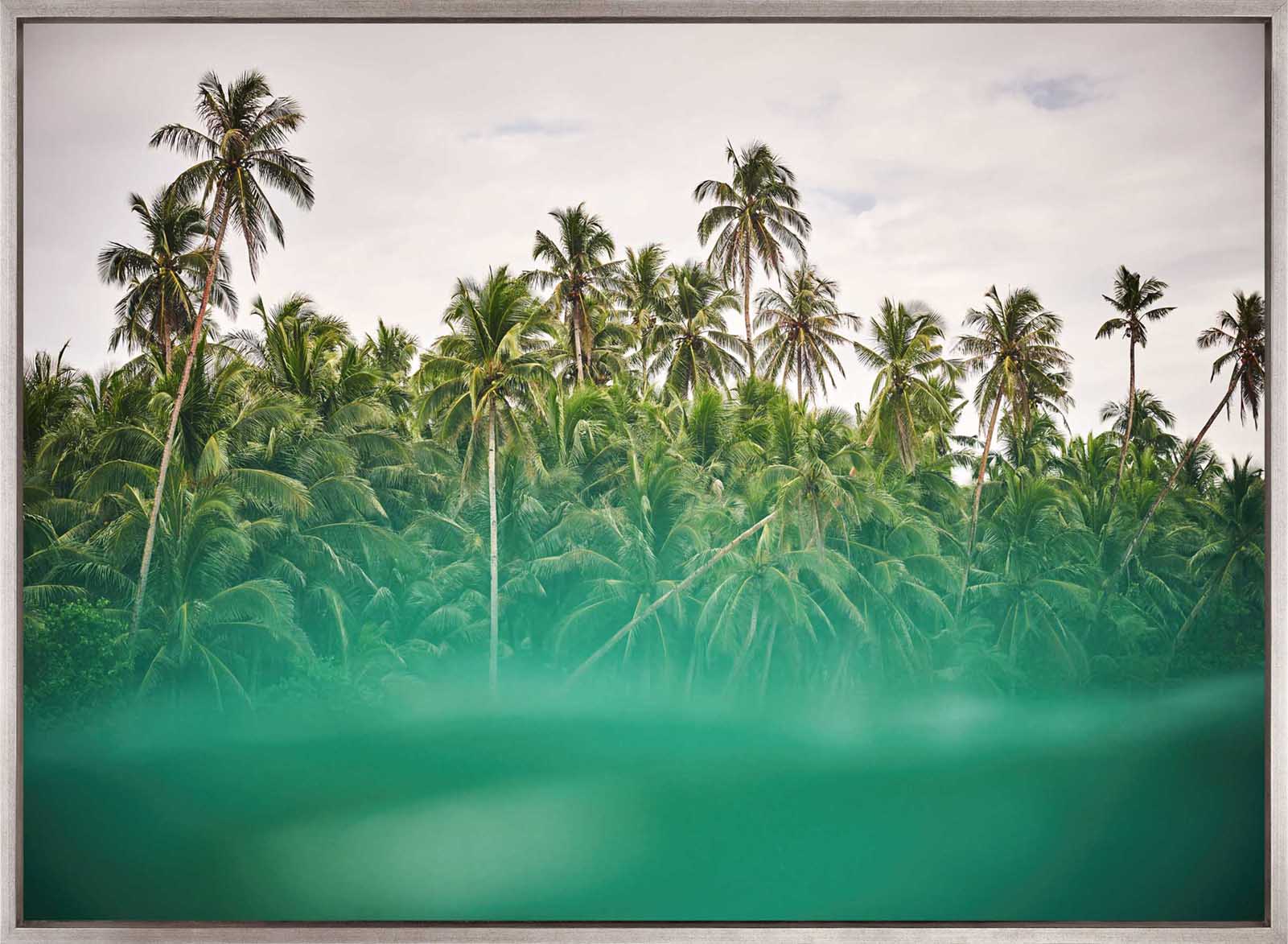 Trade Winds VIII (Canvas)