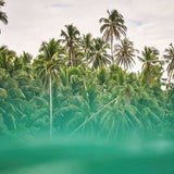 Trade Winds VIII (Canvas) Large (1109mm W x 903mm H)