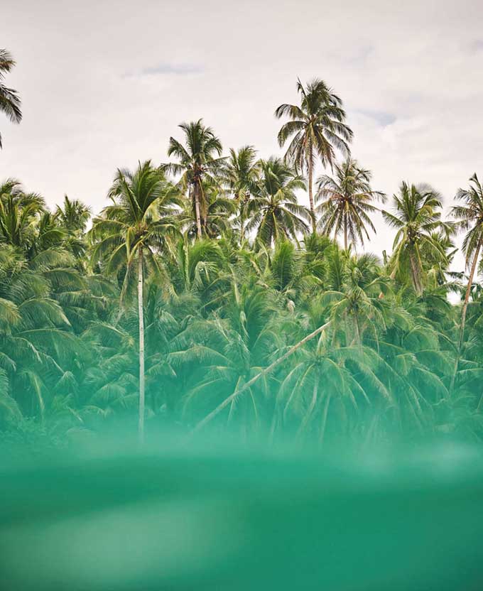 Trade Winds VIII