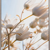Tranquil Moments I (Canvas) Large (903mm W x 1109mm H)