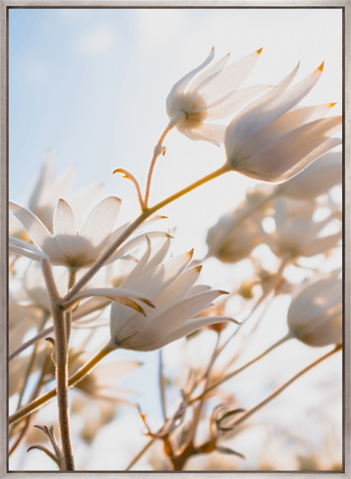 Tranquil Moments I (Canvas)