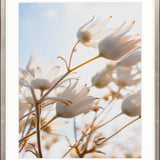 Tranquil Moments I Small (465mm W x 560mm H) / Standard Clear Glass