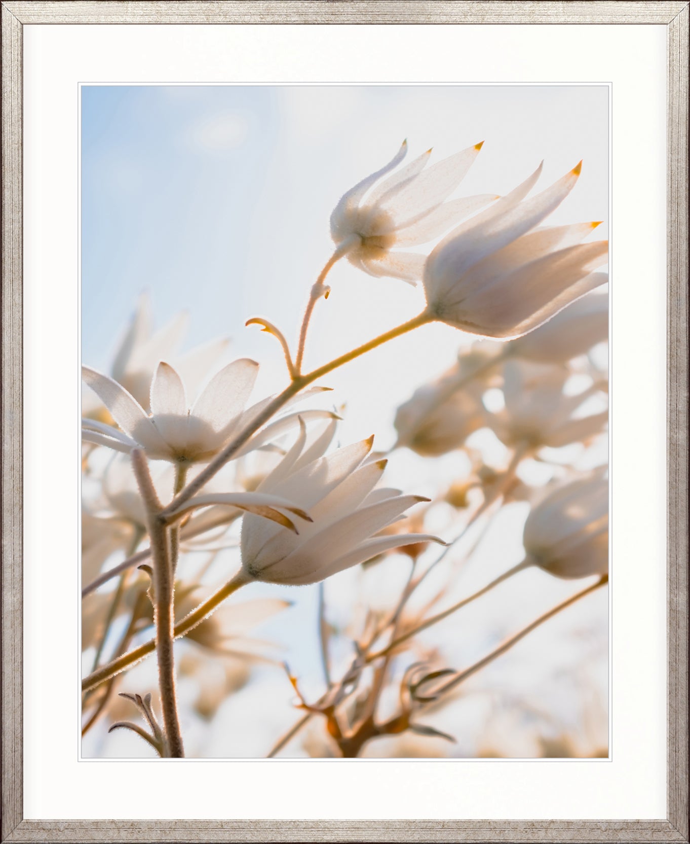 Tranquil Moments I