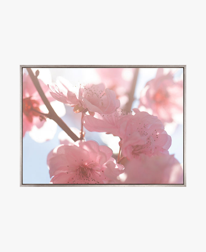 Tranquil Moments II (Canvas)