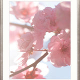 Tranquil Moments II Small (465mm W x 560mm H) / Standard Clear Glass