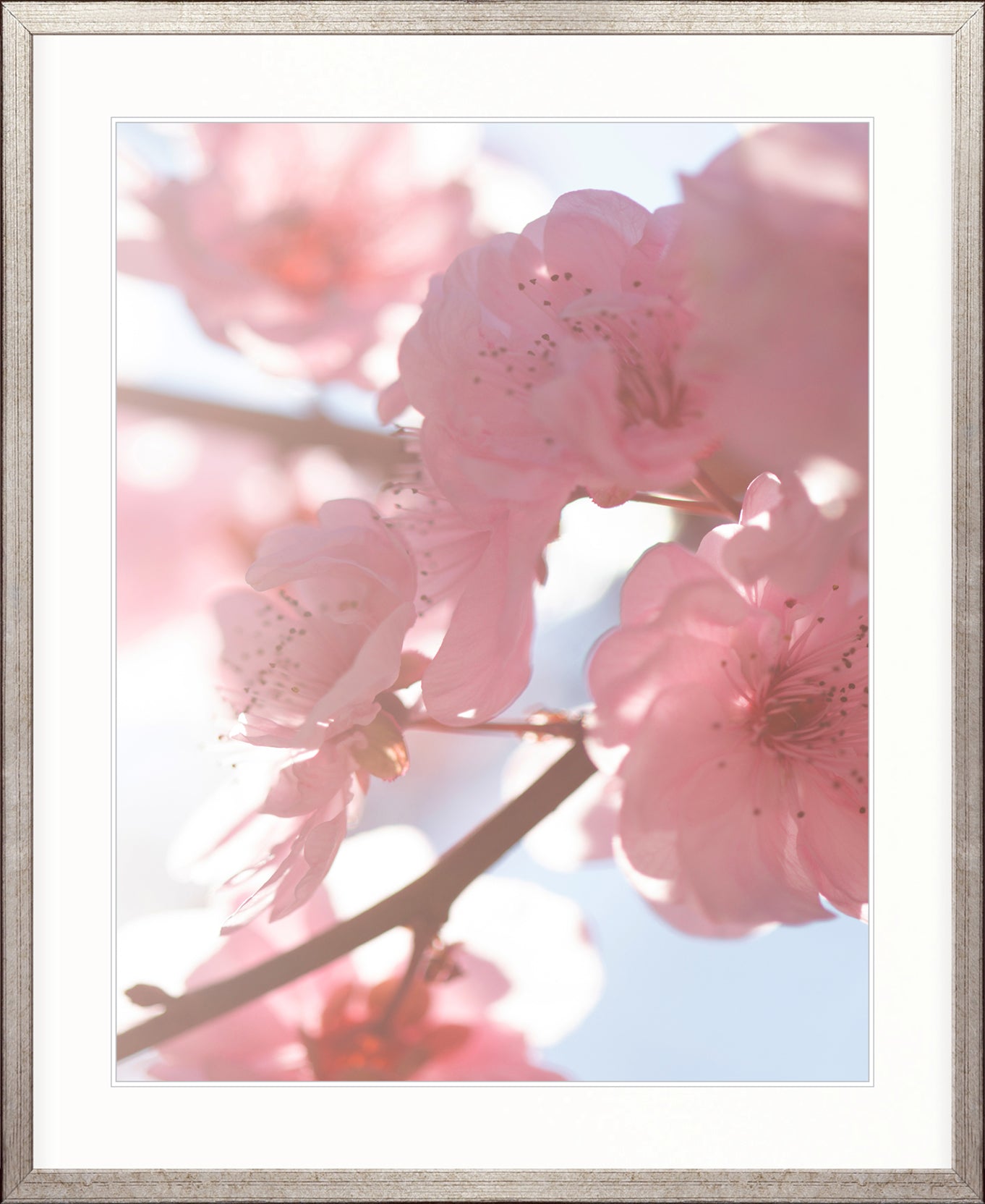Tranquil Moments II