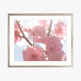 Tranquil Moments II Small (465mm W x 560mm H) / Standard Clear Glass