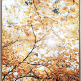 Tranquil Moments III (Canvas) Large (903mm W x 1109mm H)