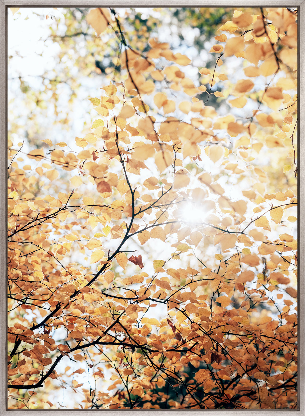 Tranquil Moments III (Canvas)