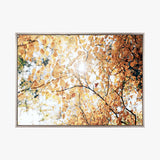 Tranquil Moments III (Canvas) Large (903mm W x 1109mm H)