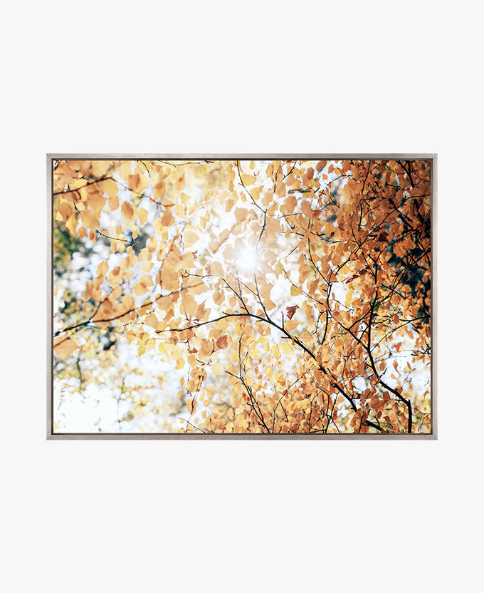 Tranquil Moments III (Canvas)