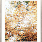 Tranquil Moments III Small (465mm W x 560mm H) / Standard Clear Glass