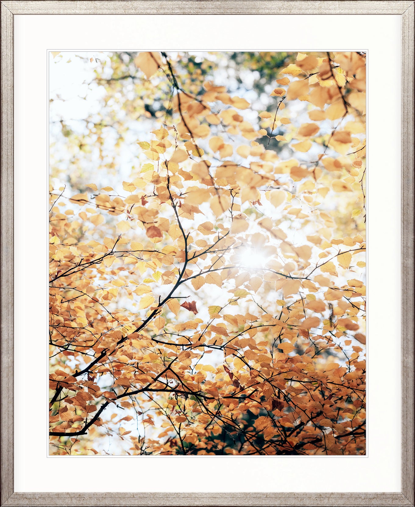 Tranquil Moments III