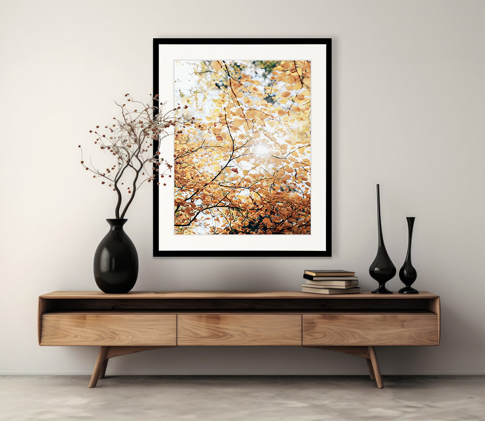 Tranquil Moments III