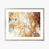Tranquil Moments III Small (465mm W x 560mm H) / Standard Clear Glass