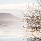 Tranquil Moments IV Small (465mm W x 560mm H) / Standard Clear Glass