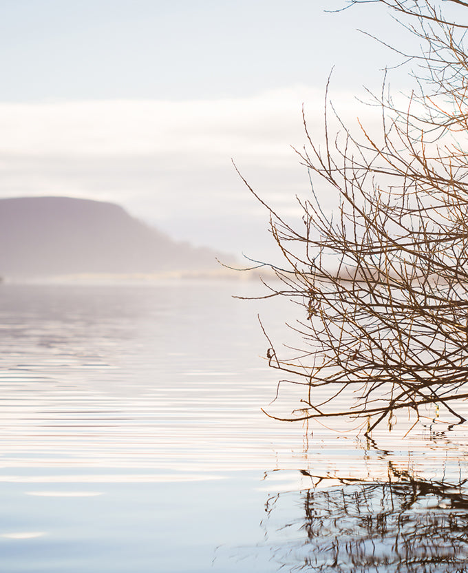 Tranquil Moments IV