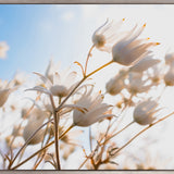 Tranquil Moments V (Canvas) Large (1109mm W x 903mm H)