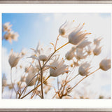 Tranquil Moments V Small (560mm W x 465mm H) / Standard Clear Glass