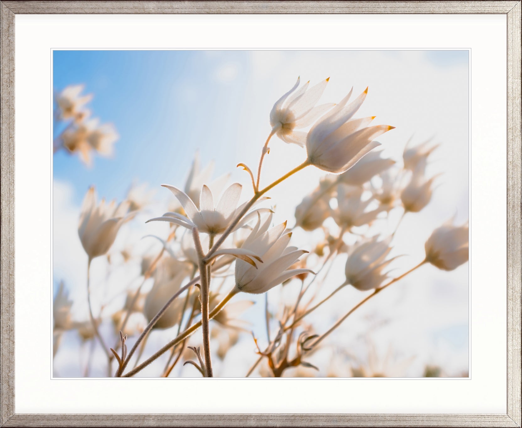 Tranquil Moments V