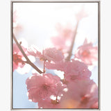 Tranquil Moments VI (Canvas) Large (1109mm W x 903mm H)