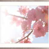 Tranquil Moments VI Small (560mm W x 465mm H) / Standard Clear Glass