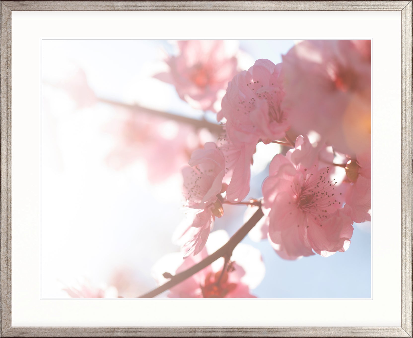 Tranquil Moments VI