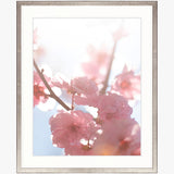 Tranquil Moments VI Small (560mm W x 465mm H) / Standard Clear Glass