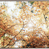 Tranquil Moments VII (Canvas) Large (1109mm W x 903mm H)
