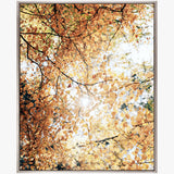 Tranquil Moments VII (Canvas) Large (1109mm W x 903mm H)