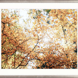 Tranquil Moments VII Small (560mm W x 465mm H) / Standard Clear Glass