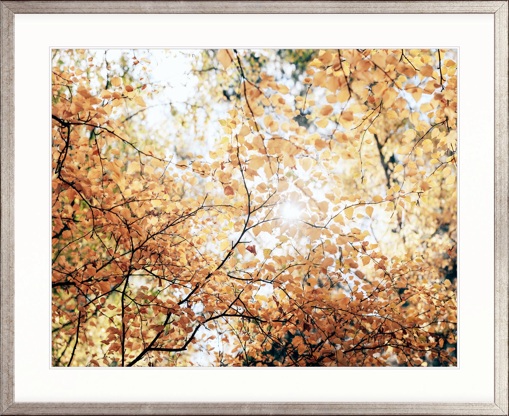 Tranquil Moments VII