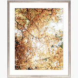 Tranquil Moments VII Small (560mm W x 465mm H) / Standard Clear Glass