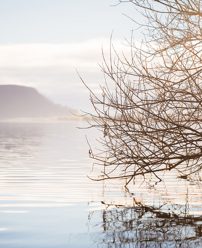 Tranquil Moments VIII