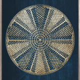 Le Diatomee II (Canvas)