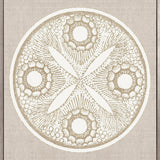 Le Diatomee V (Canvas)