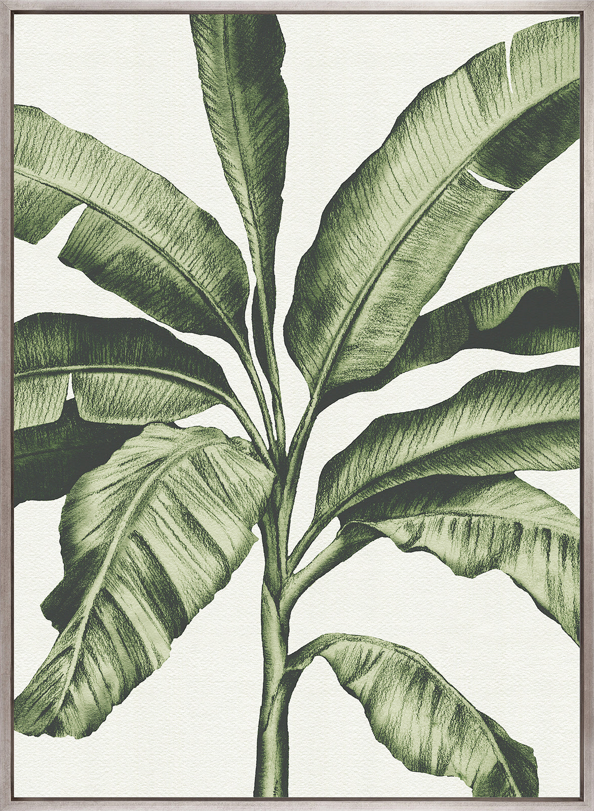 Tranquil Tropics I (Canvas)