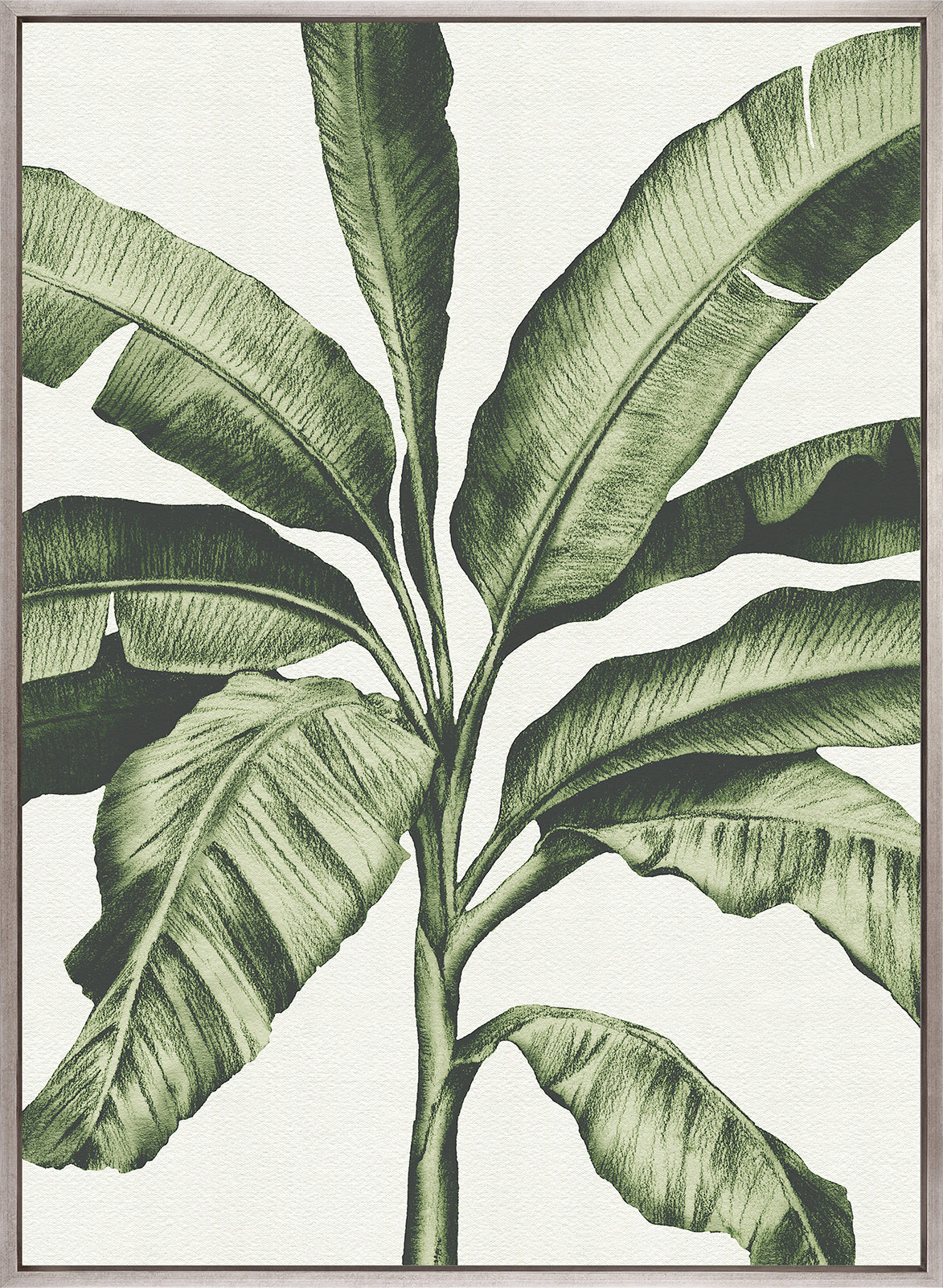 Tranquil Tropics I (Canvas)
