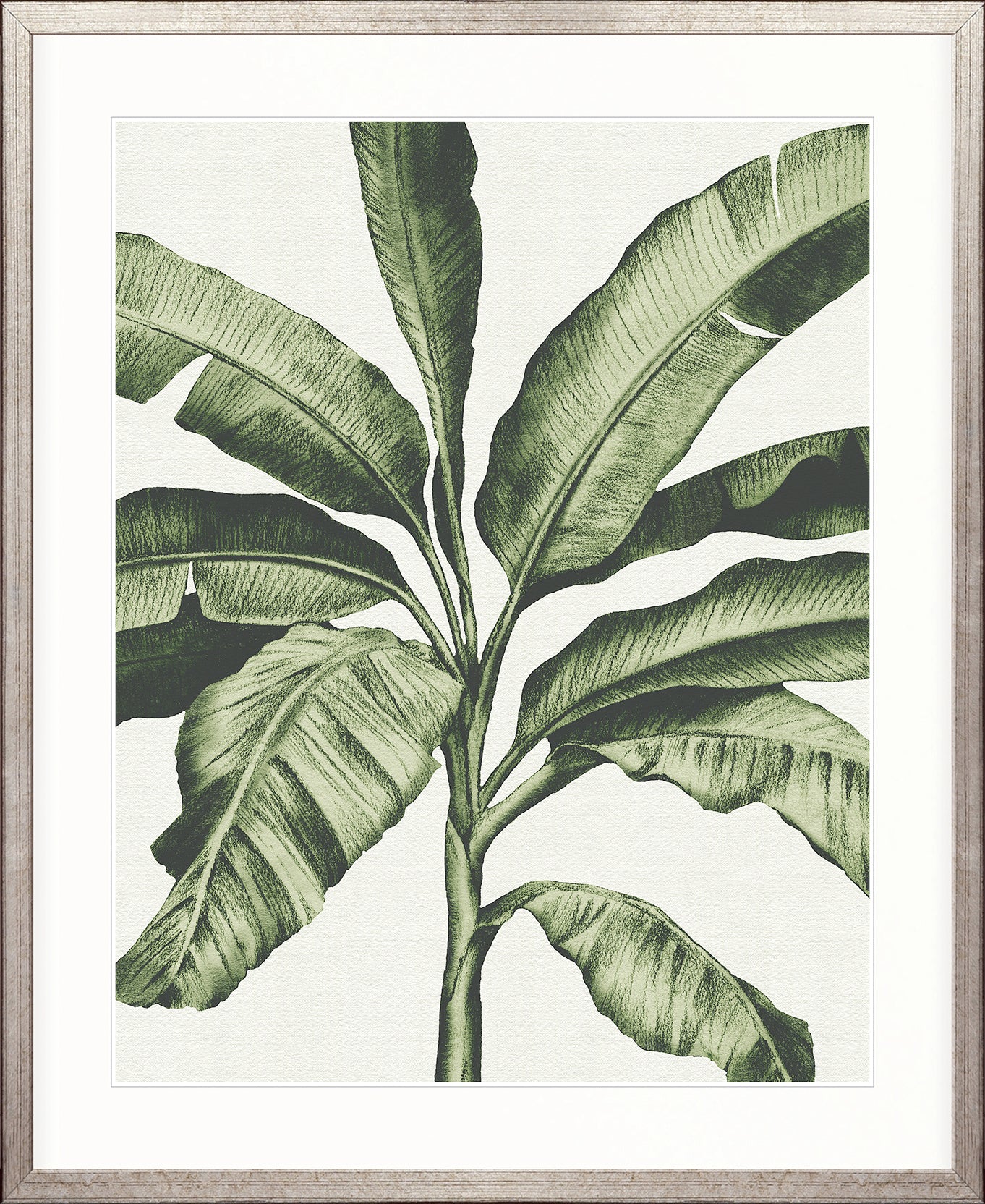 Tranquil Tropics I