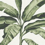 Tranquil Tropics I Small (465mm W x 560mm H) / Standard Clear Glass