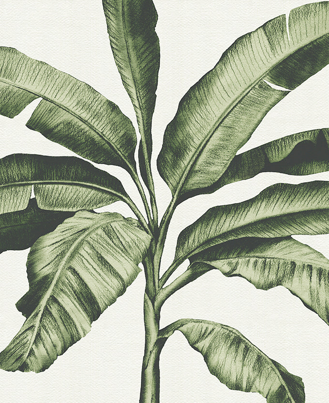 Tranquil Tropics I