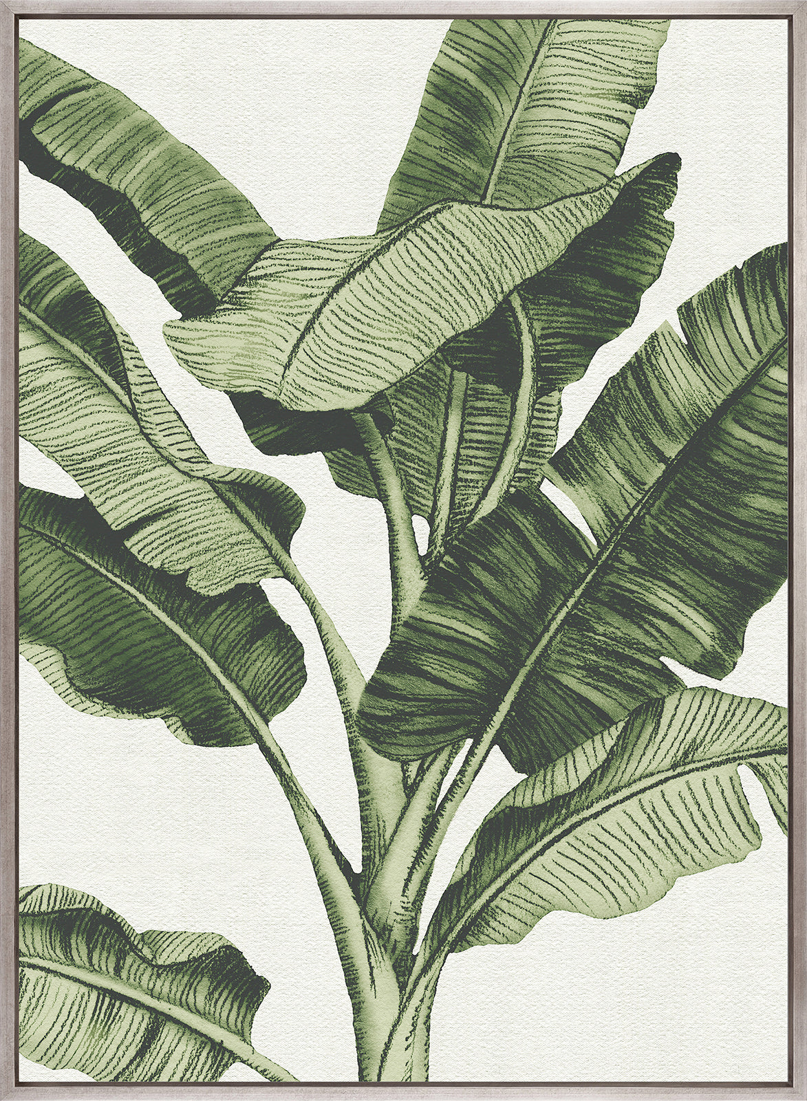 Tranquil Tropics II (Canvas)