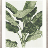 Tranquil Tropics II Small (465mm W x 560mm H) / Standard Clear Glass