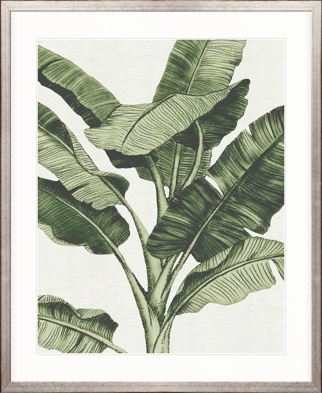 Tranquil Tropics II