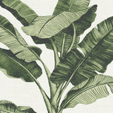 Tranquil Tropics II Small (465mm W x 560mm H) / Standard Clear Glass