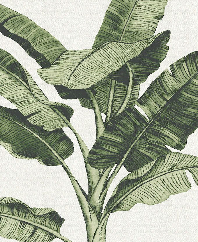 Tranquil Tropics II