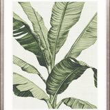 Tranquil Tropics III Small (465mm W x 560mm H) / Standard Clear Glass