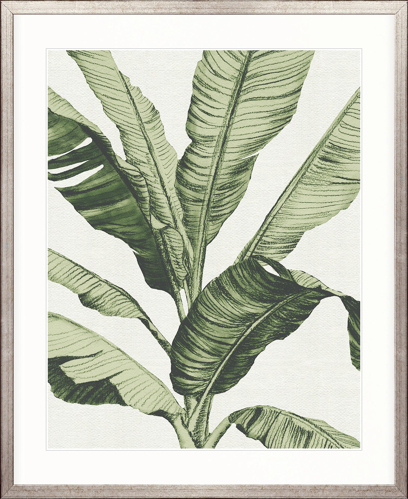 Tranquil Tropics III