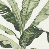 Tranquil Tropics III Small (465mm W x 560mm H) / Standard Clear Glass